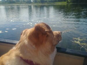 Chloe in a boat in Charlevoix County